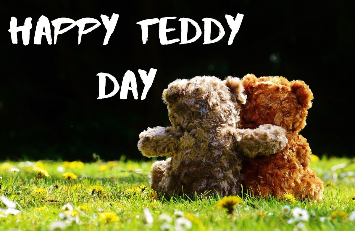 Teddy Day Image