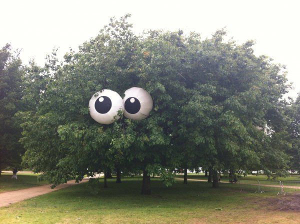 Homemade Halloween Decoration Eye Balls In A Tree