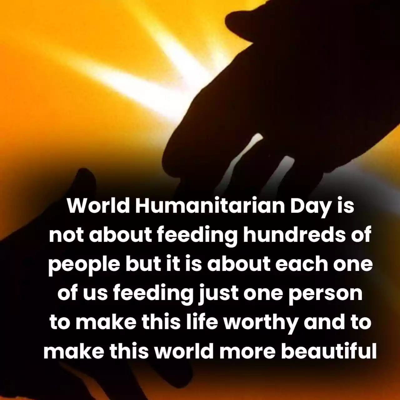 World Humanity Day
